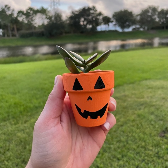 custom plants - Picture 5 of 6